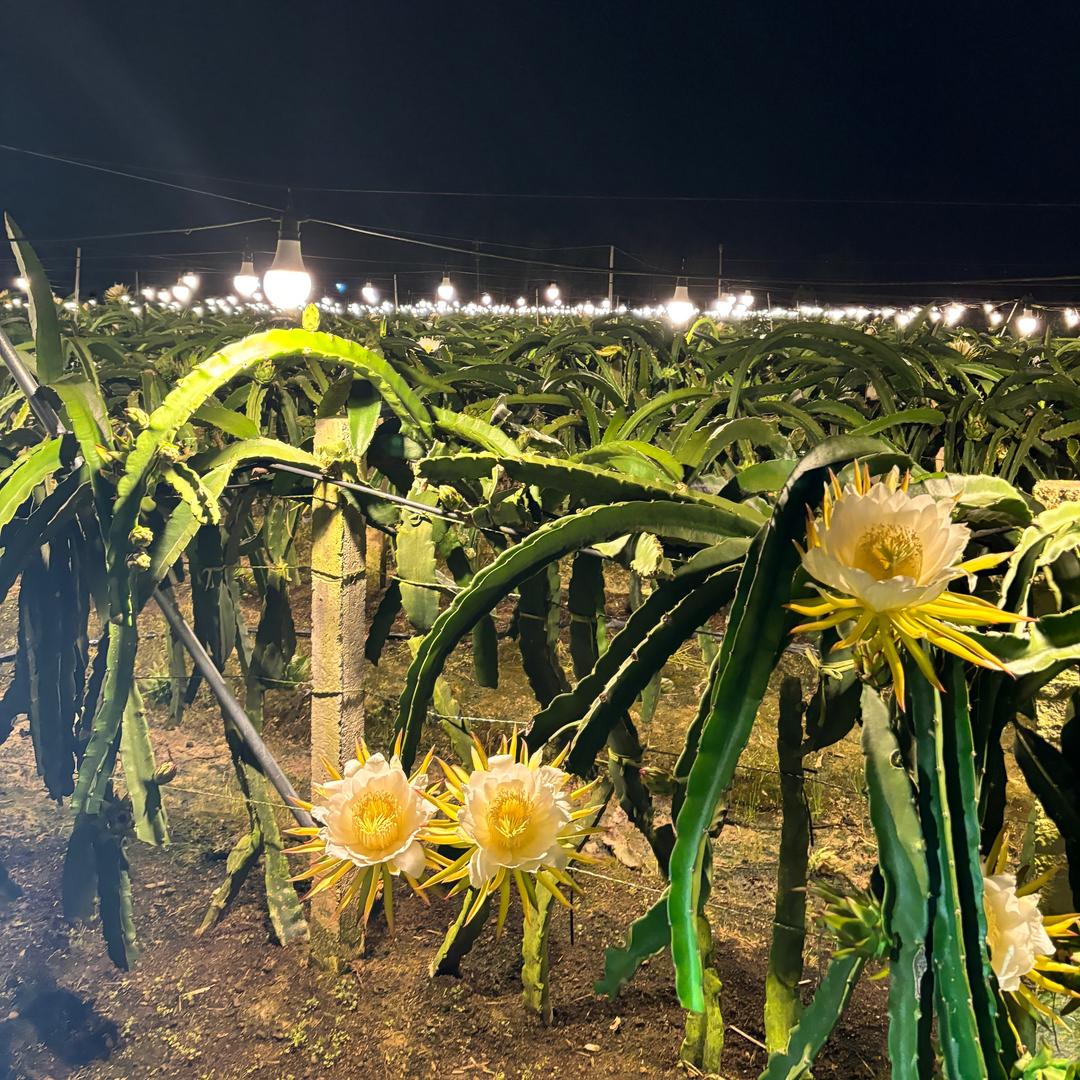 开心过好每一天。