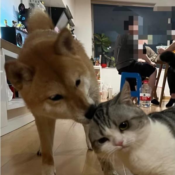 嘻