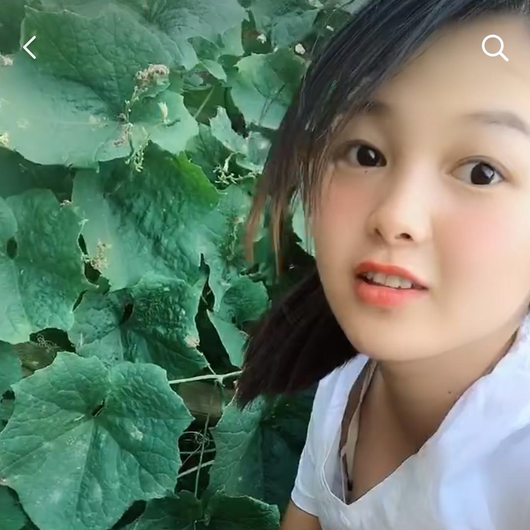 甜儿（黄山）