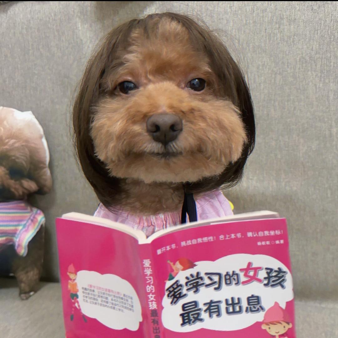 纪椿