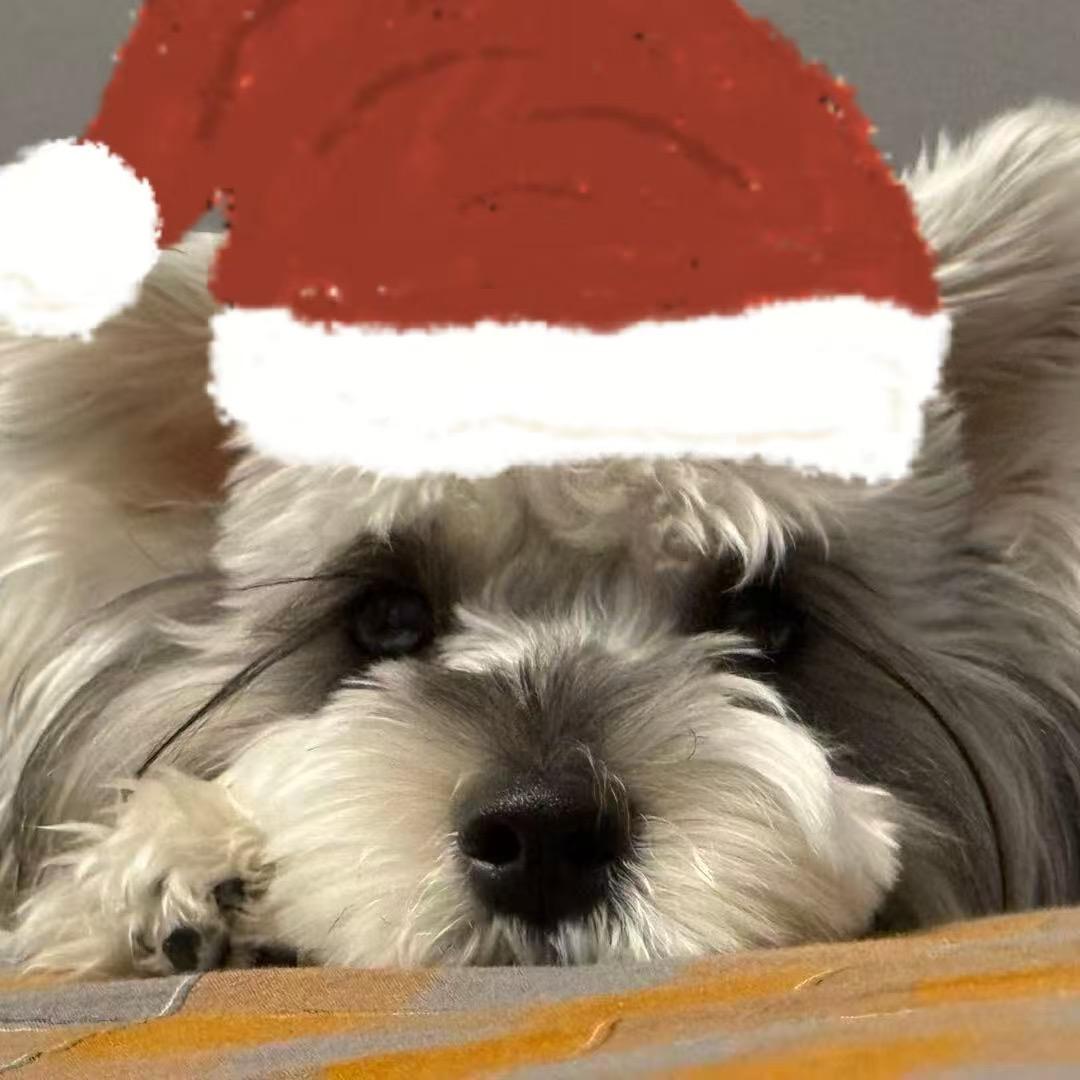 然ᵕ᷄≀ ̠ᵕ᷅ ـ٨ـﮩﮩ٨ـ♡ﮩ٨ـ