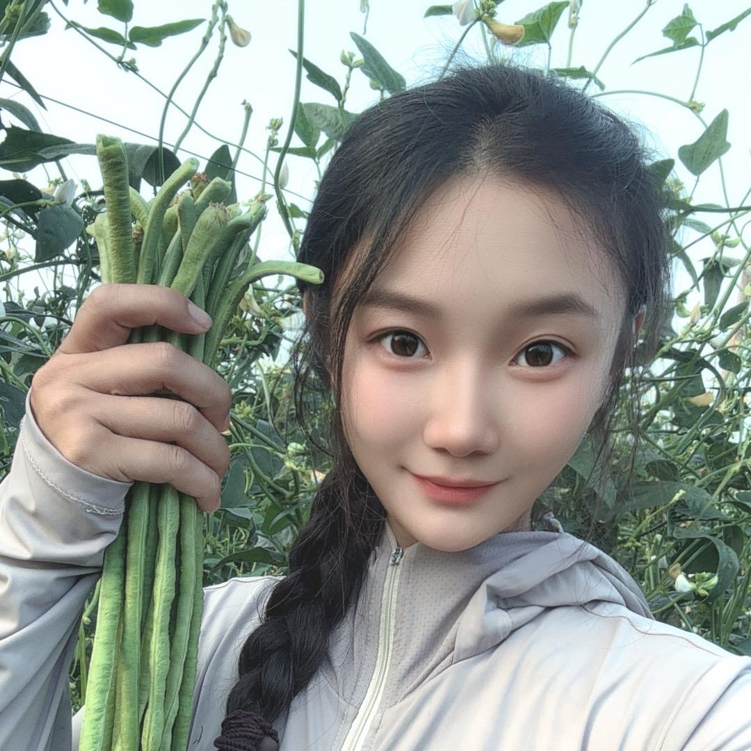 豆角种植-小张