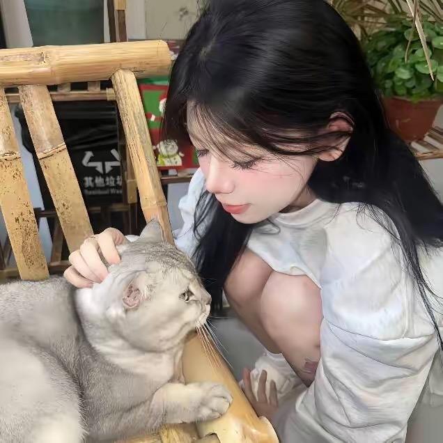 小圆奶酪