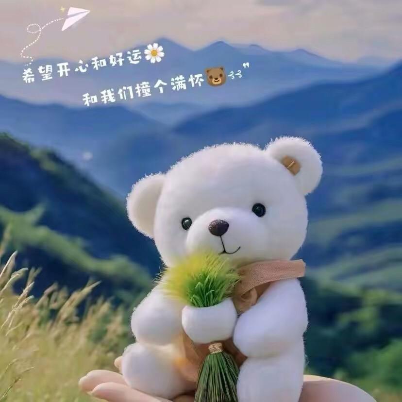 宽宽小饼
