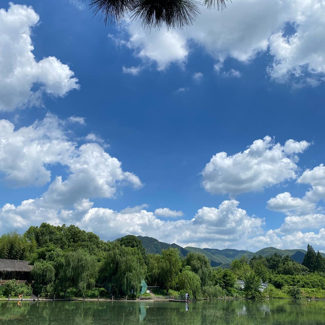 是养螃蟹的小娟呀🦀️🦀️🦀️