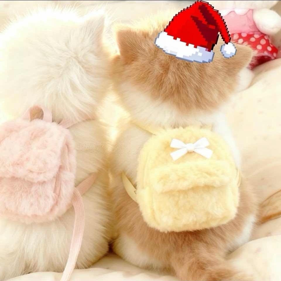 我是什么很帅的人吗