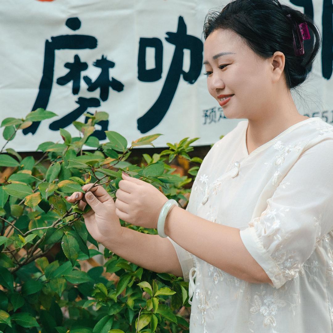 云雾里香茶