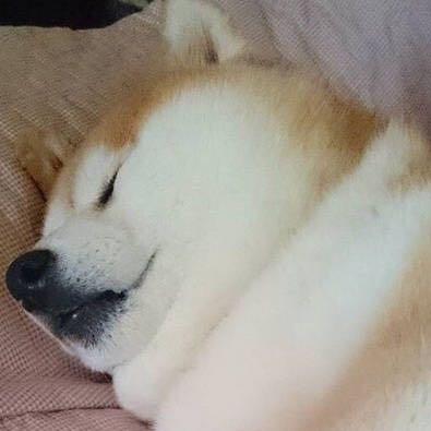 君有一壶酒 可拭万般尘