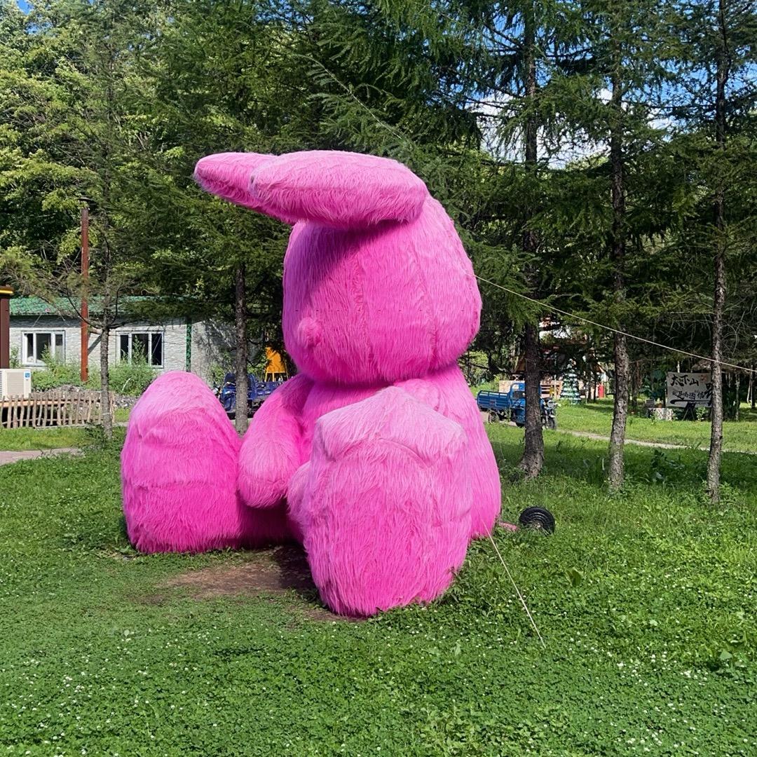 娜娜