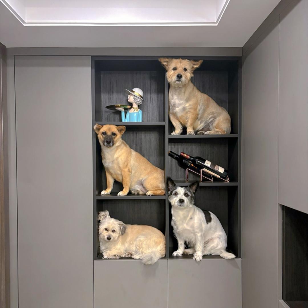 四大名串（潦草版）