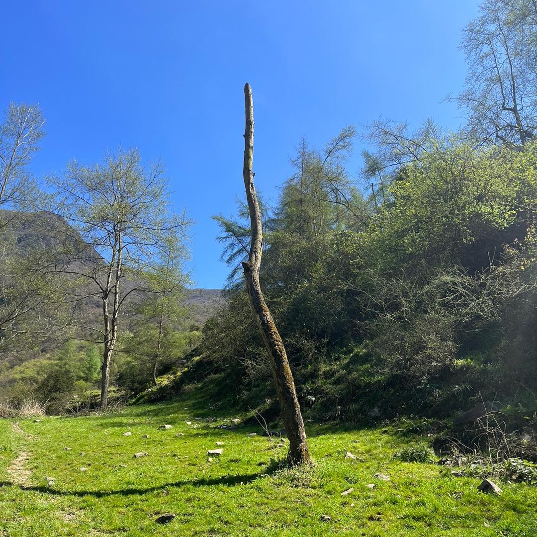 亭苑• 围炉煮茶•花园火锅。