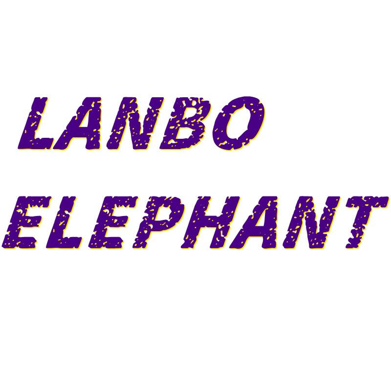 蓝波象男鞋旗舰店