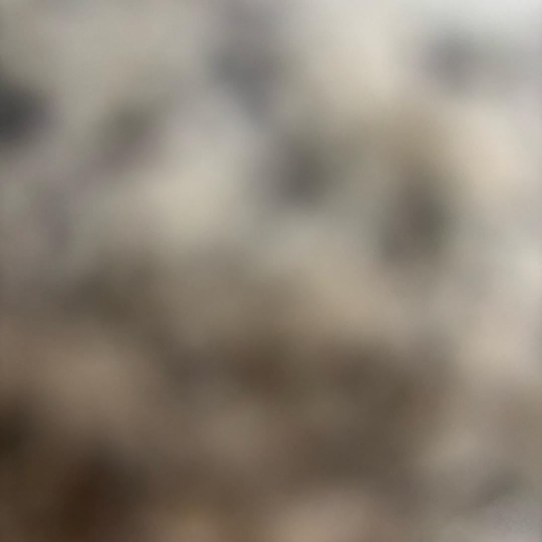 老子不配（终身不改）