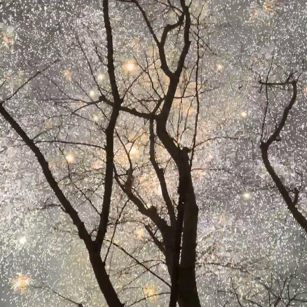 林深不见🦌