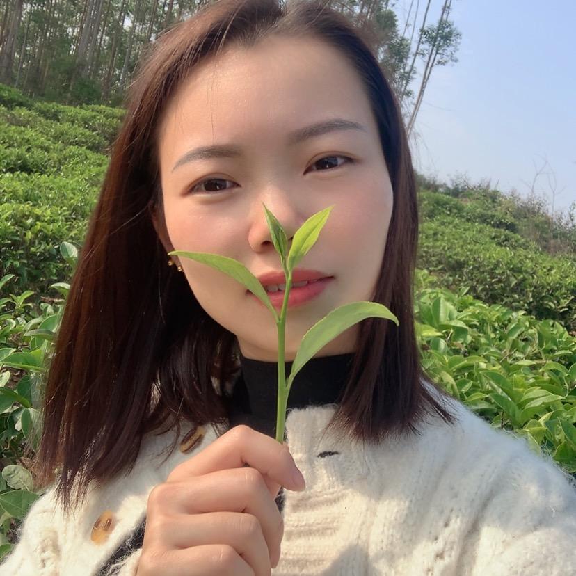 丛韵季【单丛茶源头厂产地】