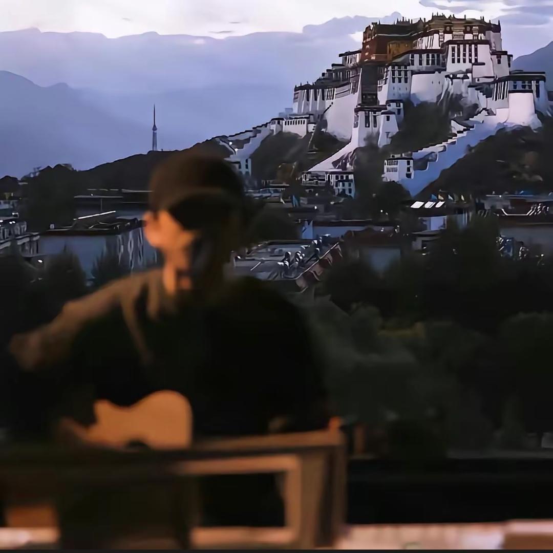 阳崽