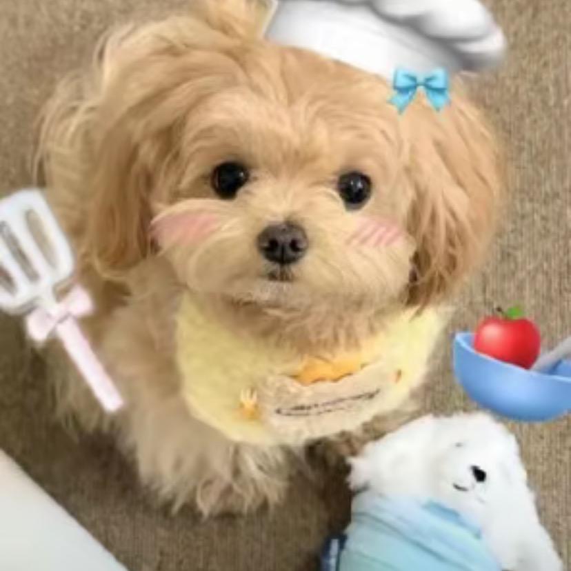 小佳优选小卖铺