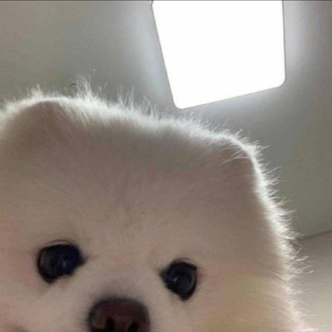 相小片