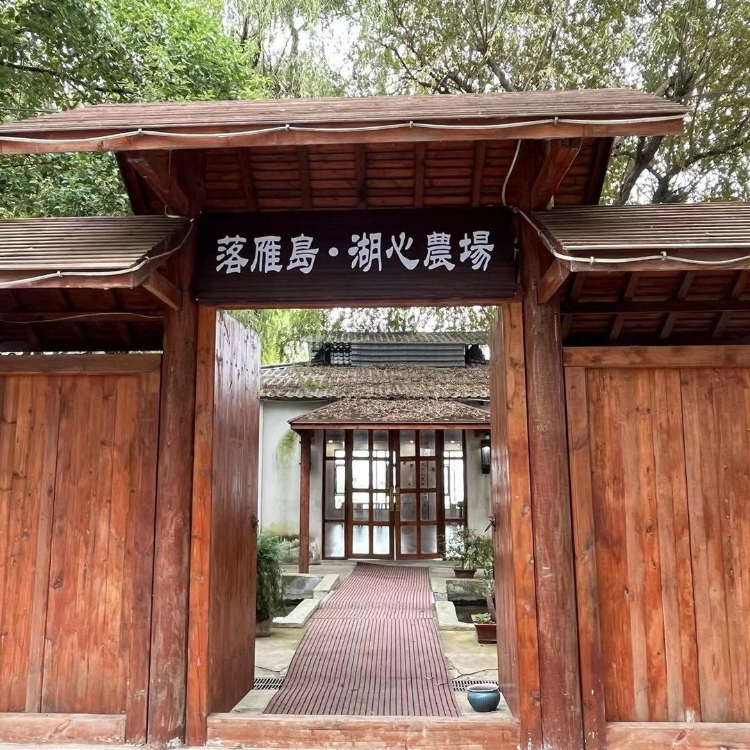 湖心农场T同学