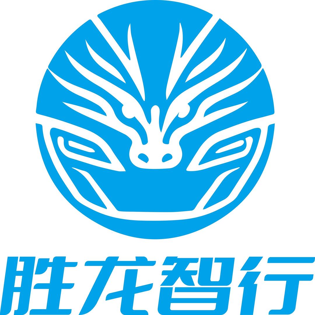 厦门胜龙智行汽车服务有限公司