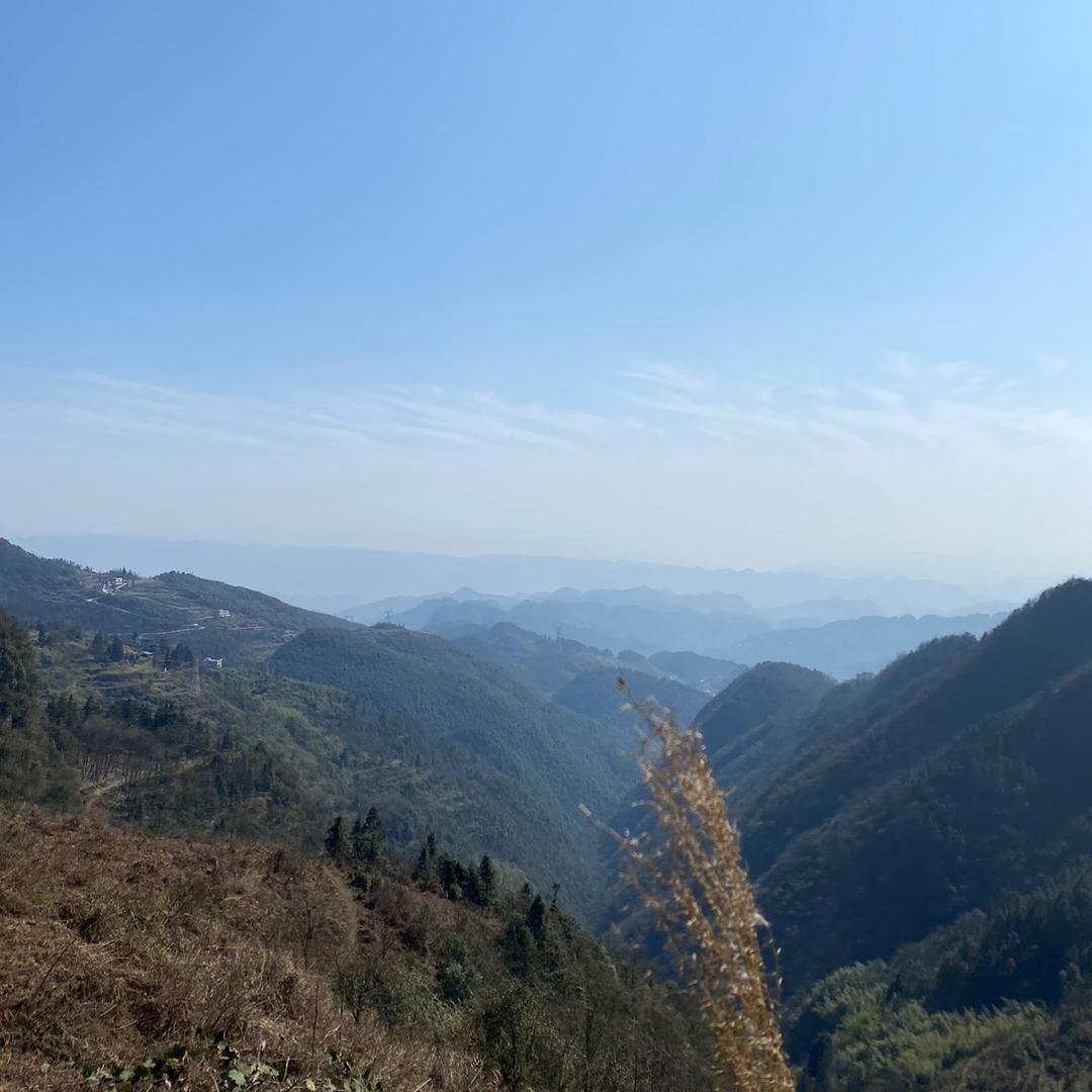 贵州——张书记