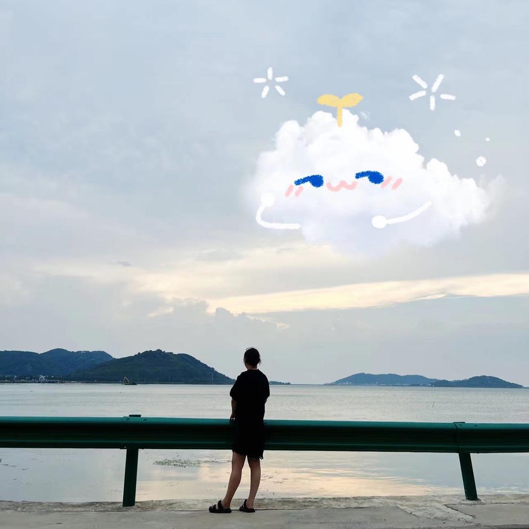 •Bao包
