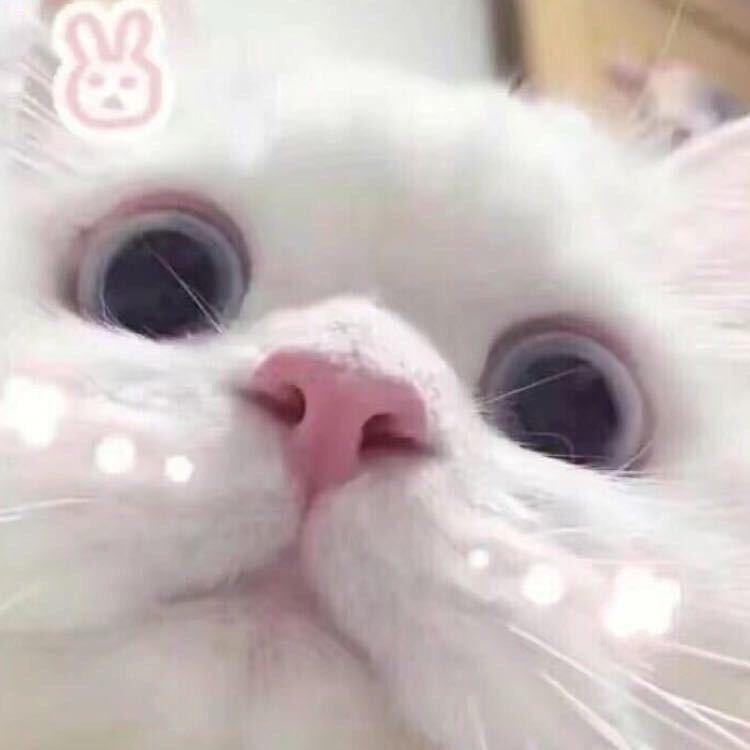 H7il