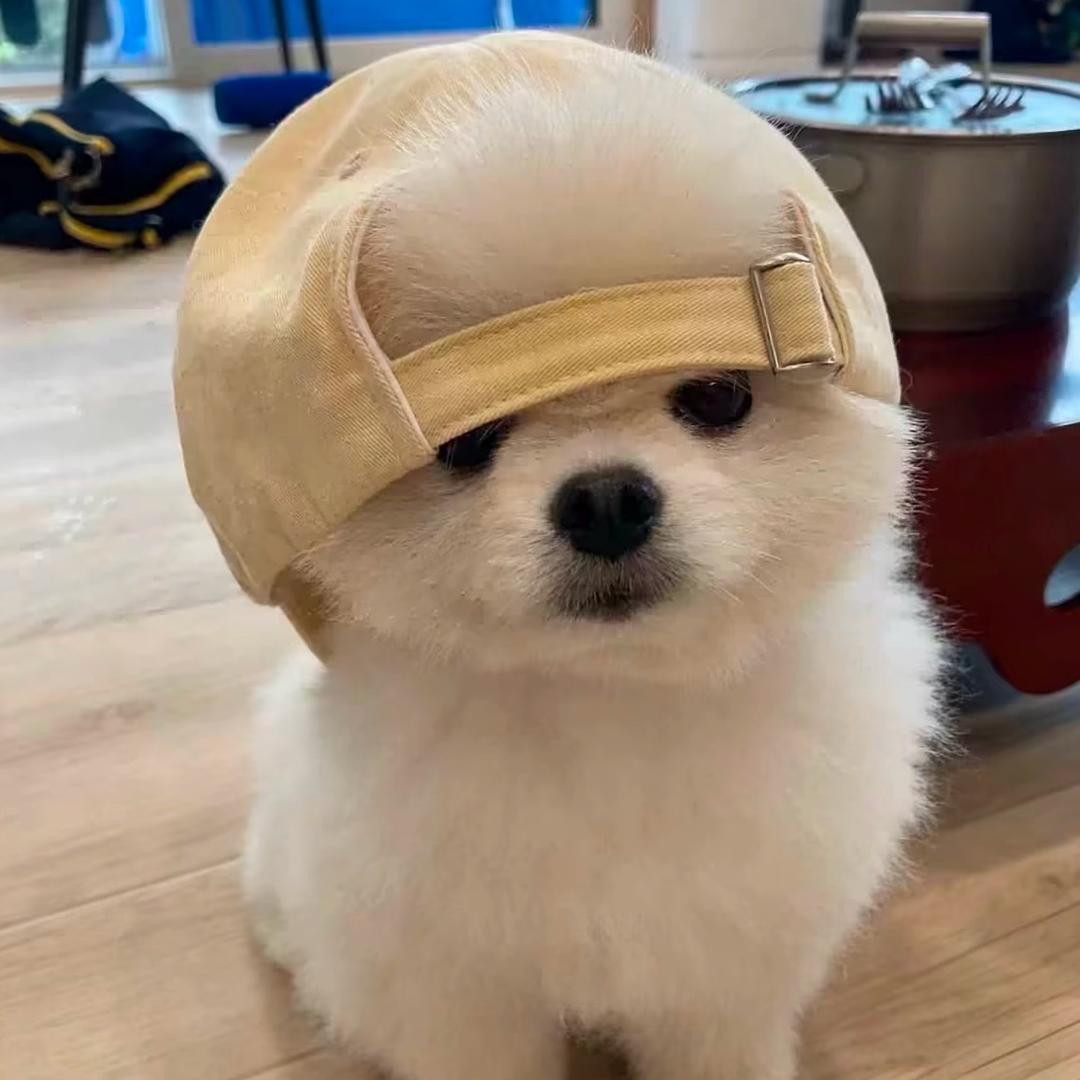 再见baby