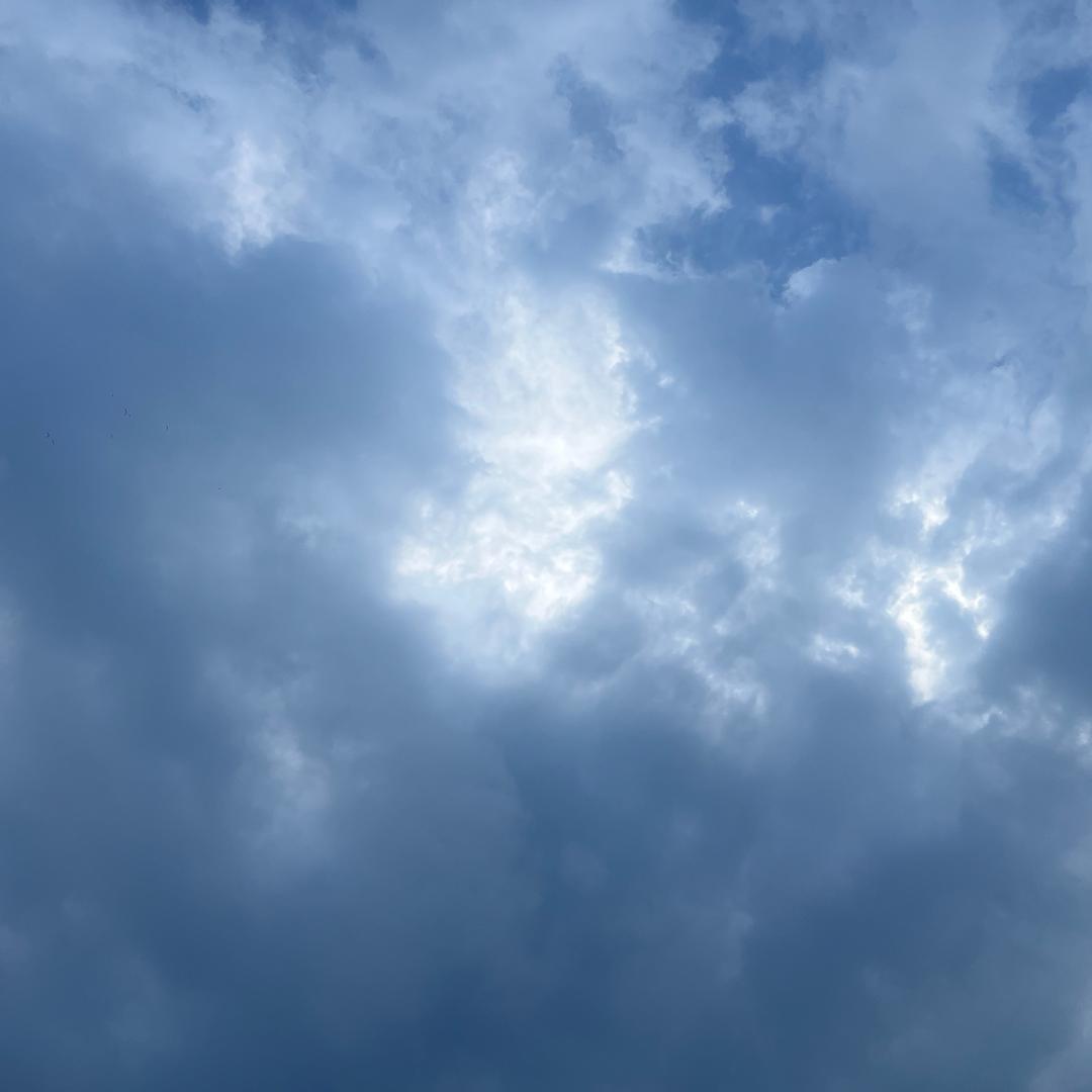 陆