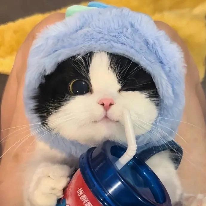 氧化钙的小铺