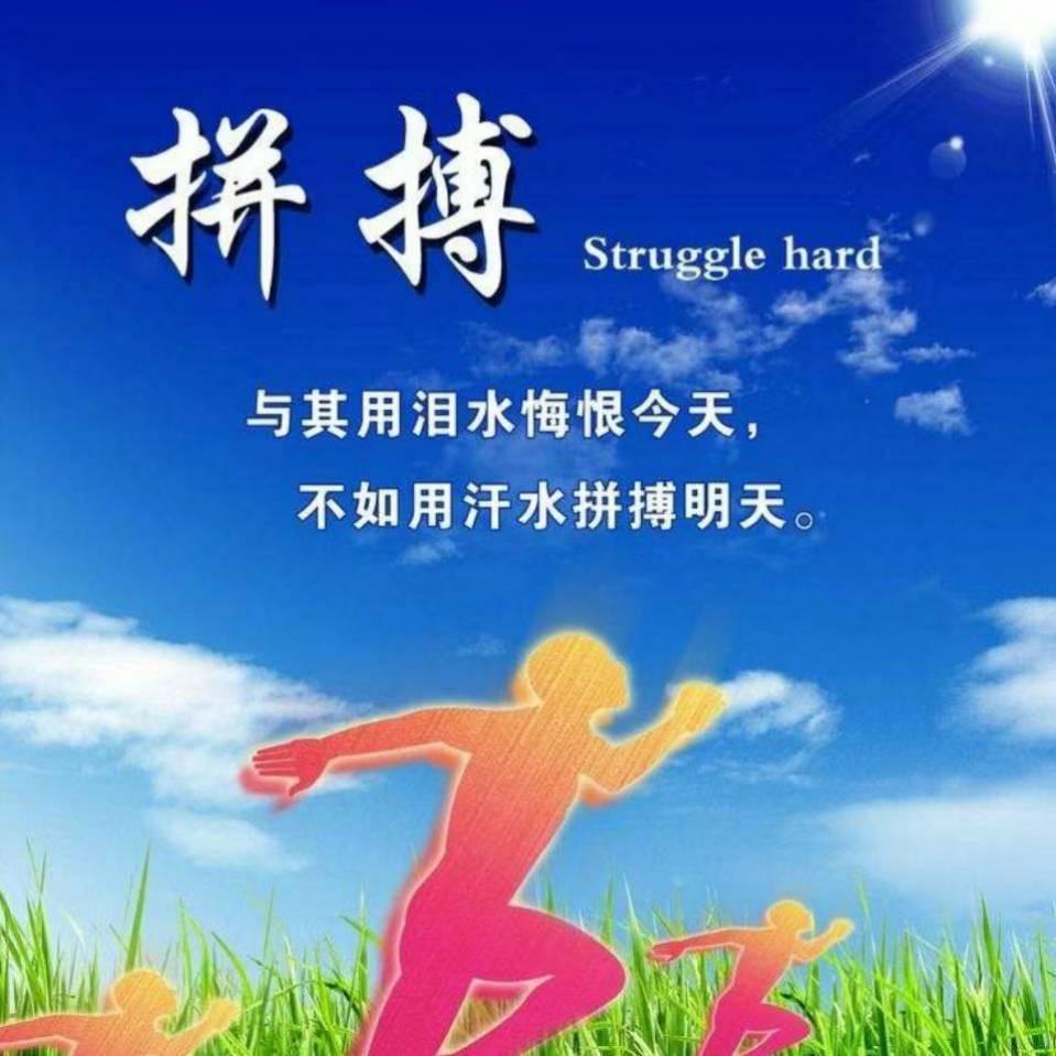 @狗蛋儿