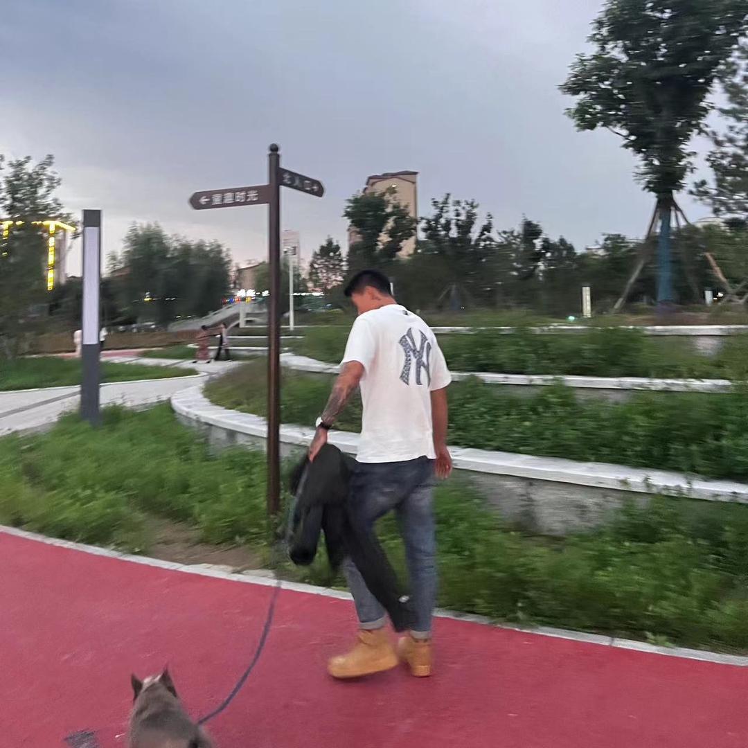 张金龙