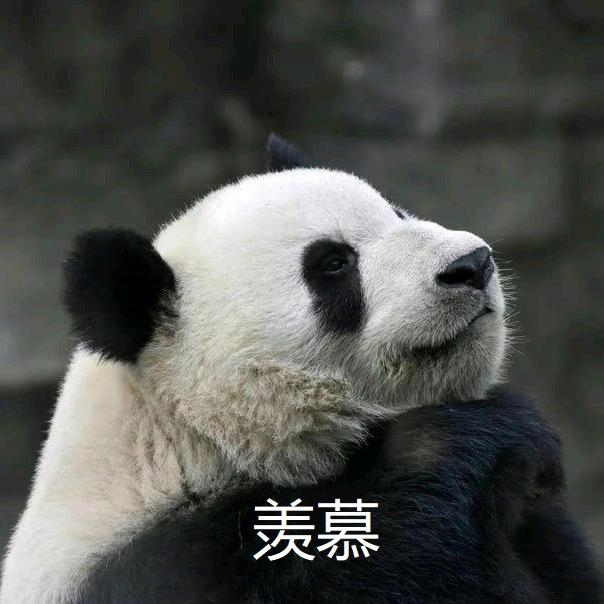 一天吃五顿