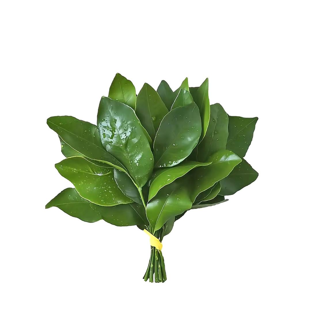 巴斯棣gua 💜⭐️