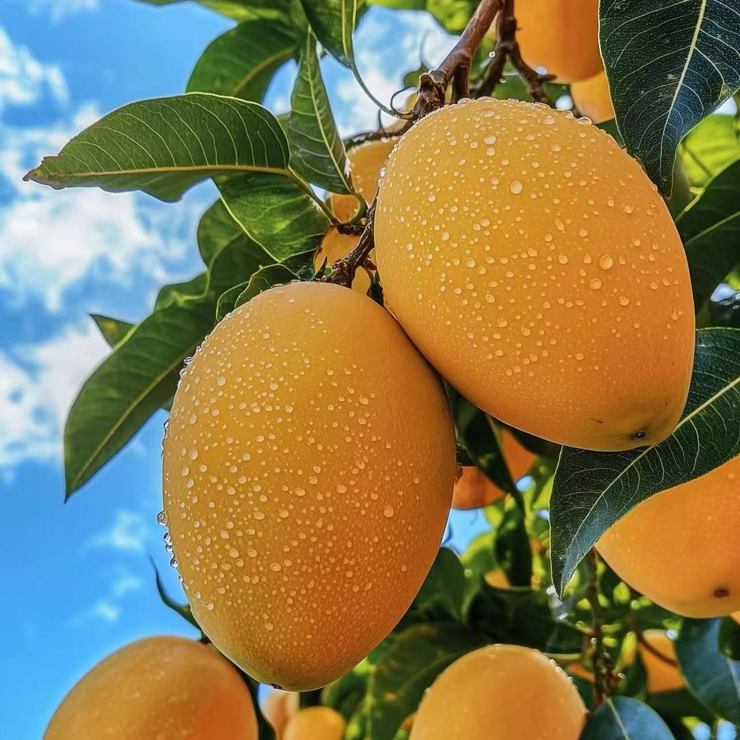 鑫财运建筑有限公司