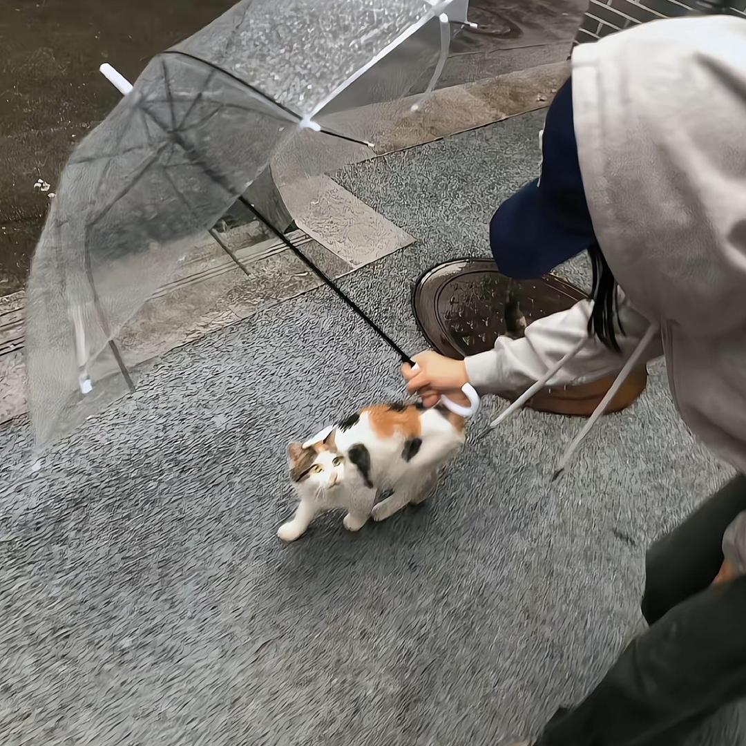 少点隔阂_