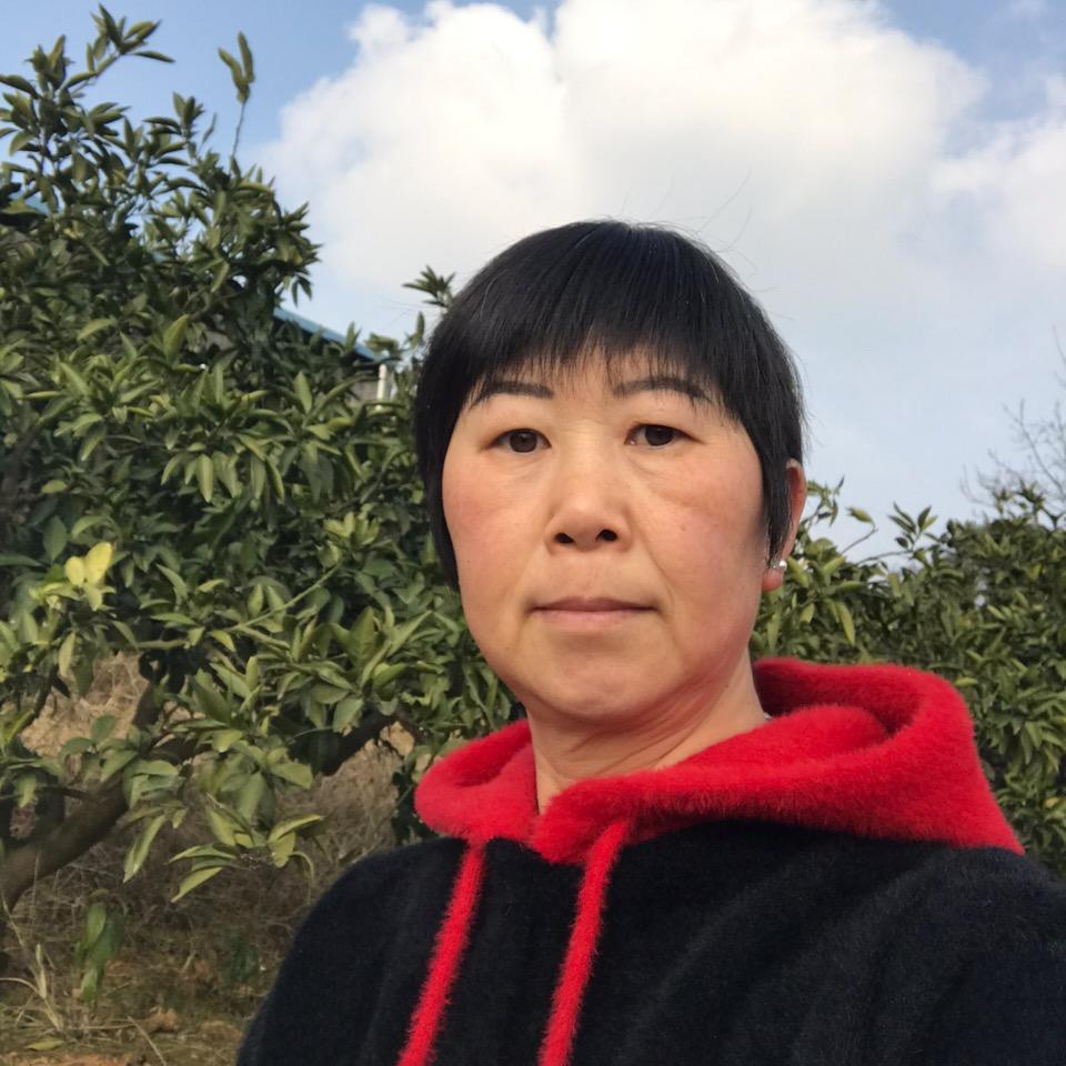 农村彬姐