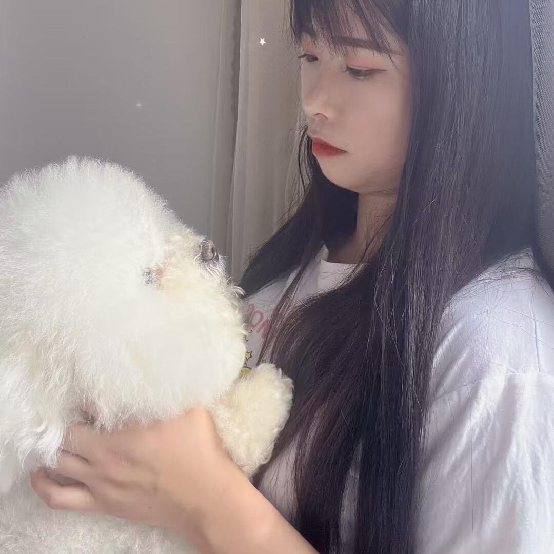 十一。