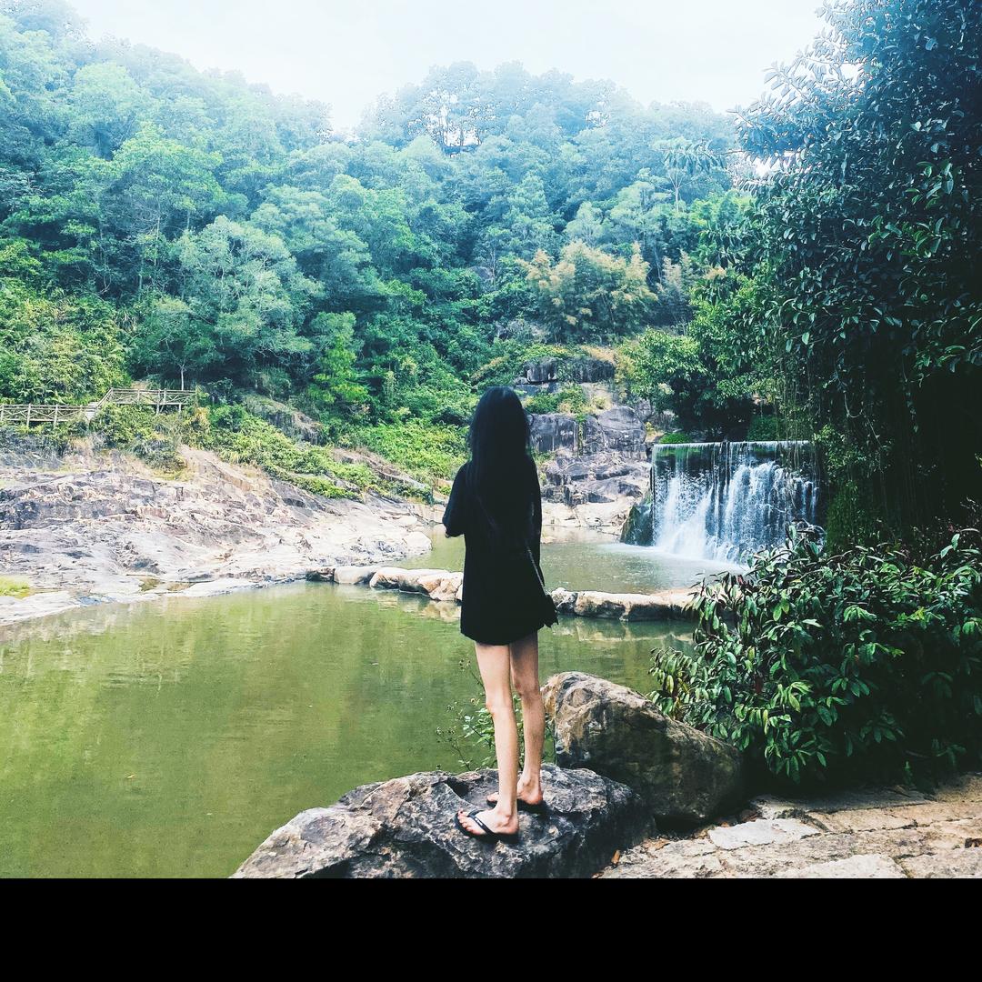 董董董董董