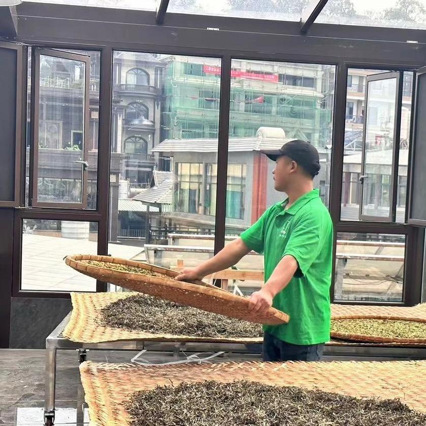 制茶者
