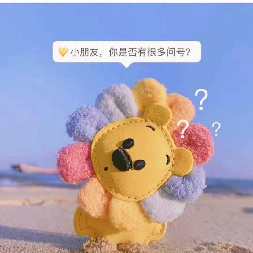 家里的一颗菜菜。