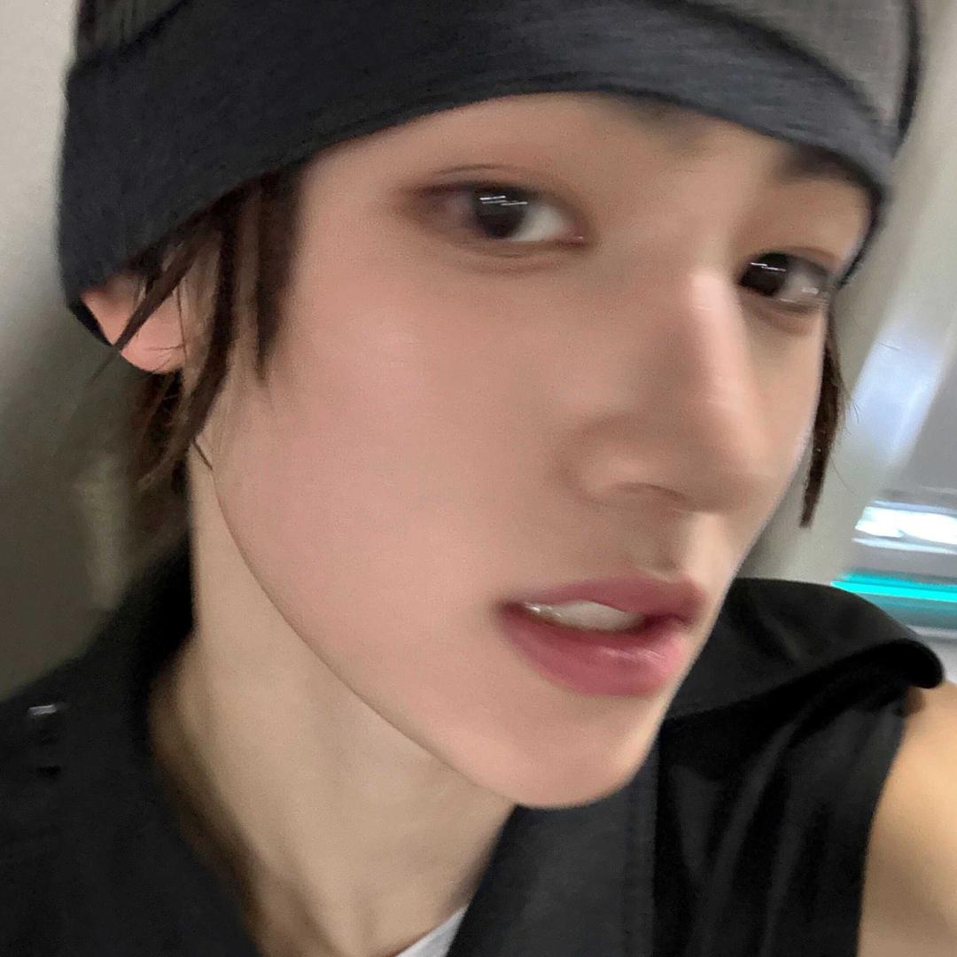 盐系训尼