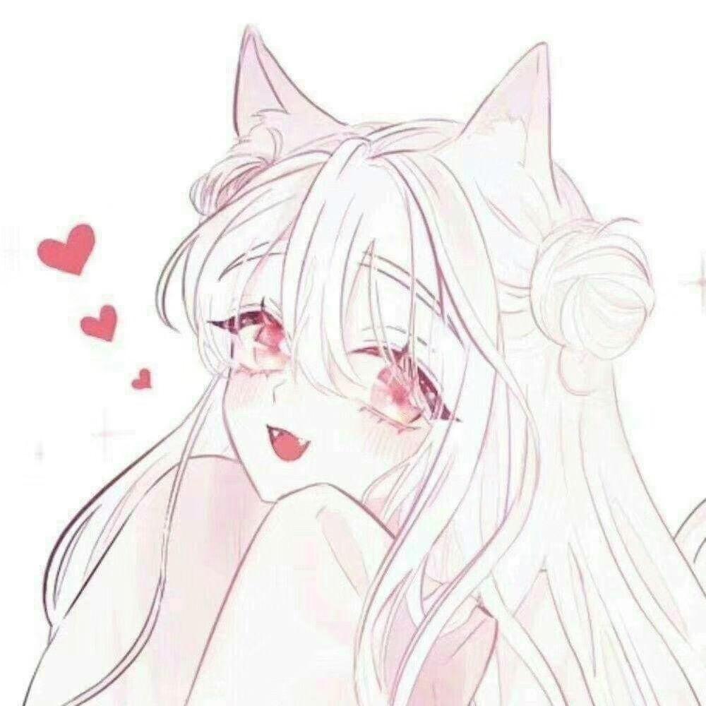 ෆ     岛上有只猫