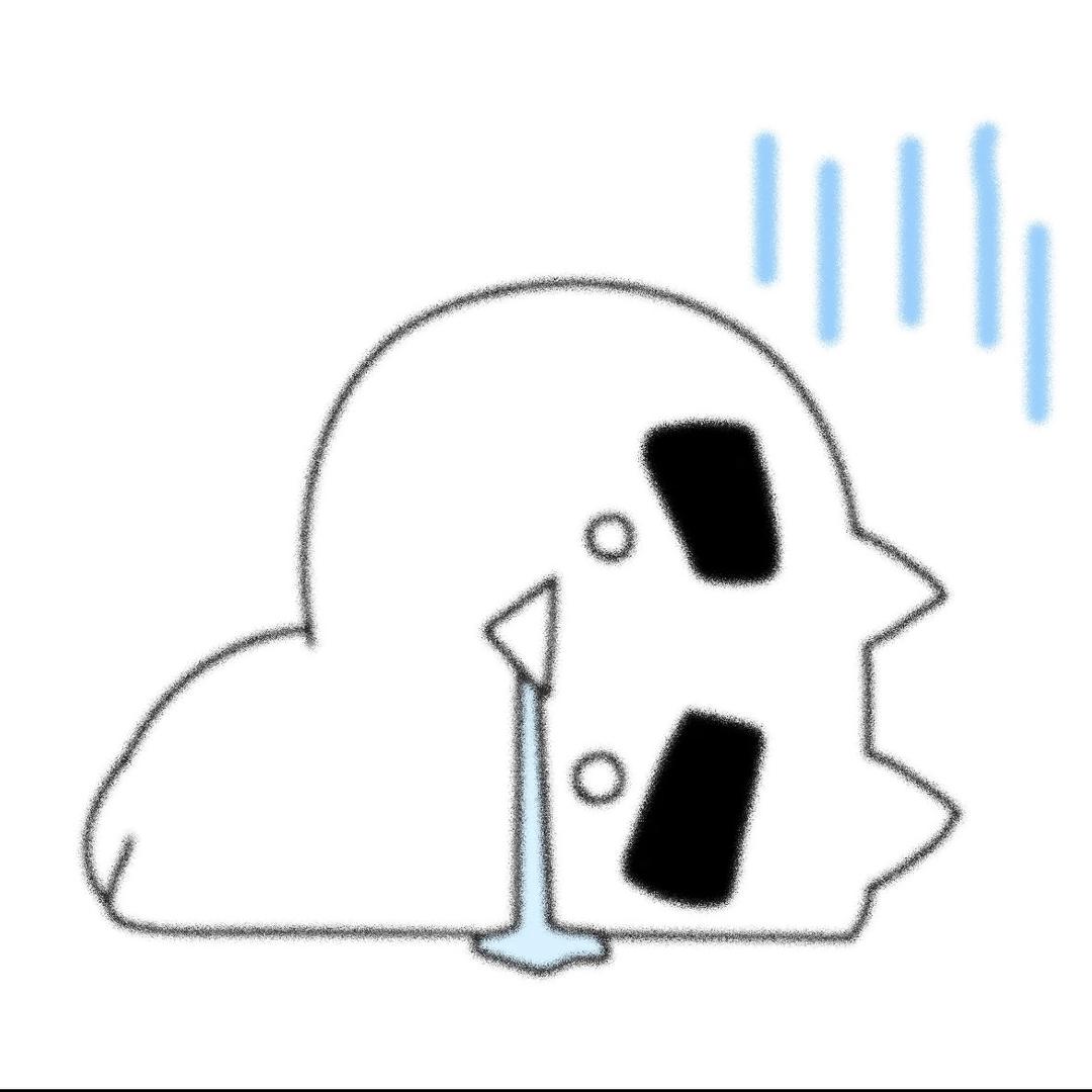 ✨迷迷敷敷（锦鲤版）