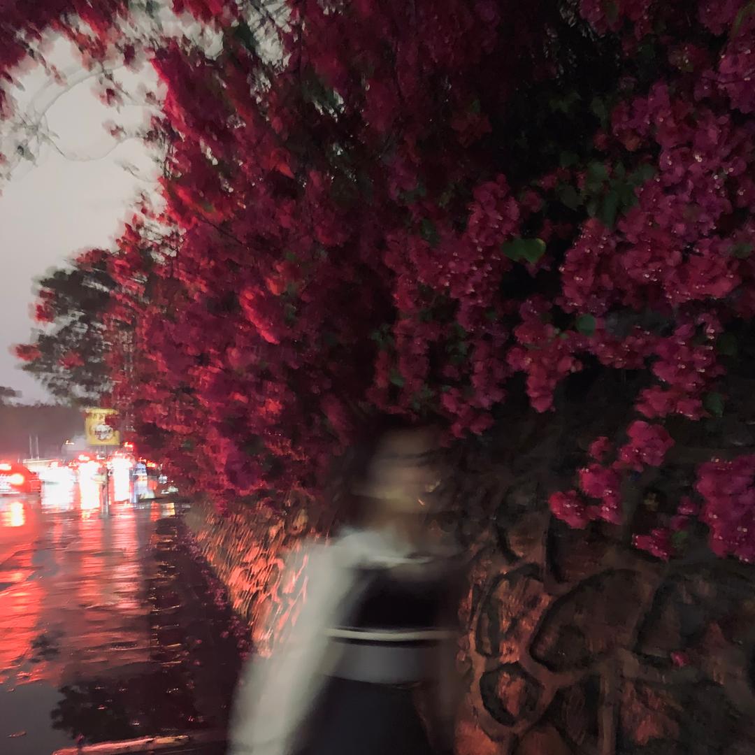 叁雯鱼