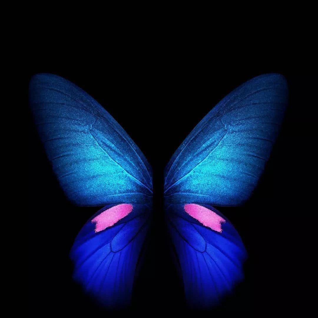 青虫🐛