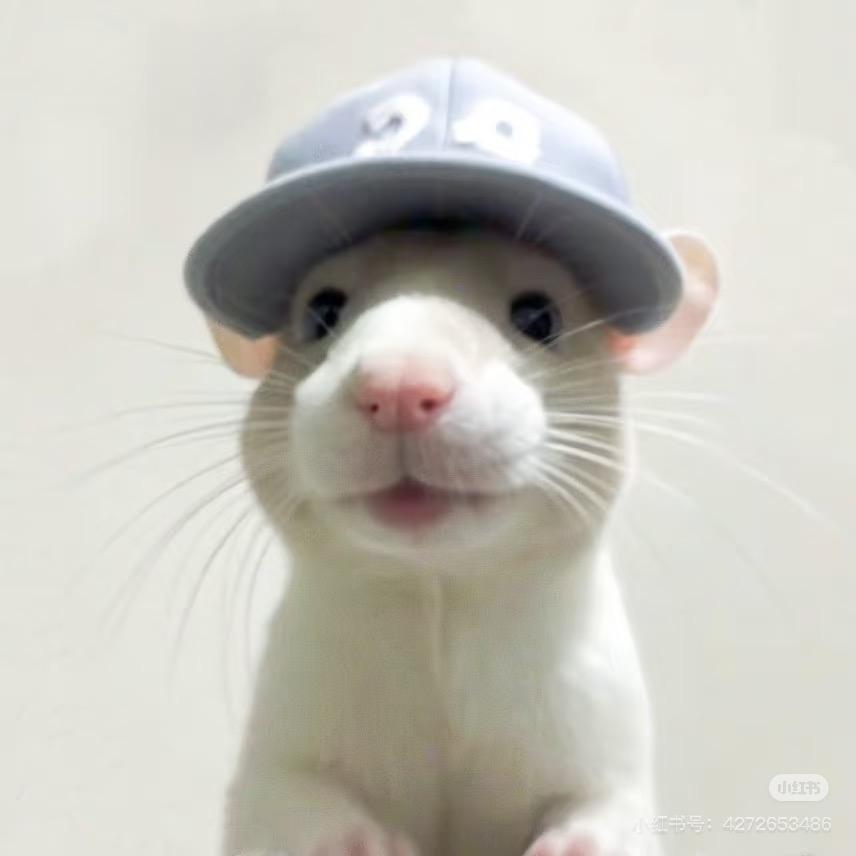 陈冰˙Ꙫ˙