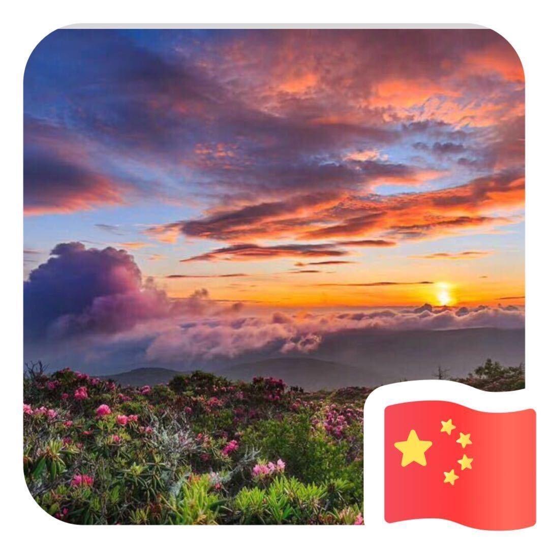 安六月（橱窗下单）