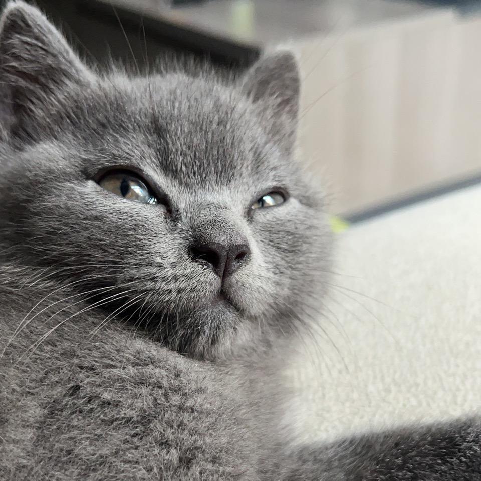 1129935034661160
