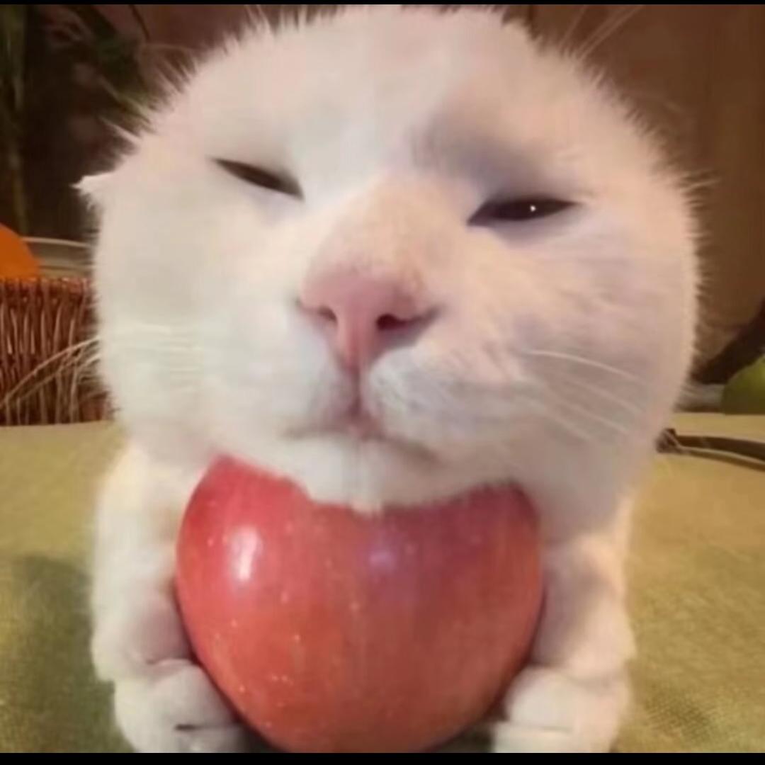 炫酷无敌霹雳炸裂超级帅奥特曼唯一后人